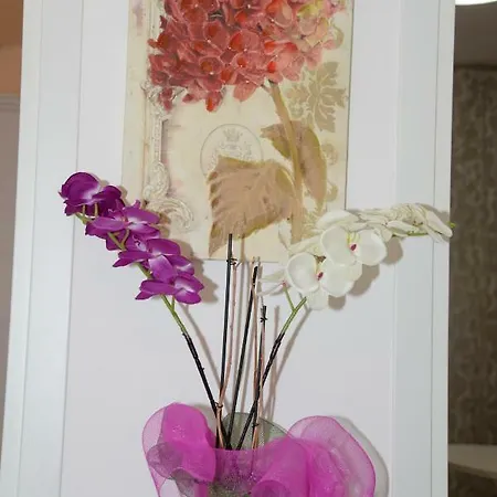 My Place Ferienhaus *